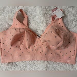 Cacique Peach Polka Dot Bra